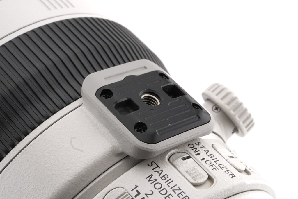 Canon 100-400mm f4.5-5.6 L IS II USM