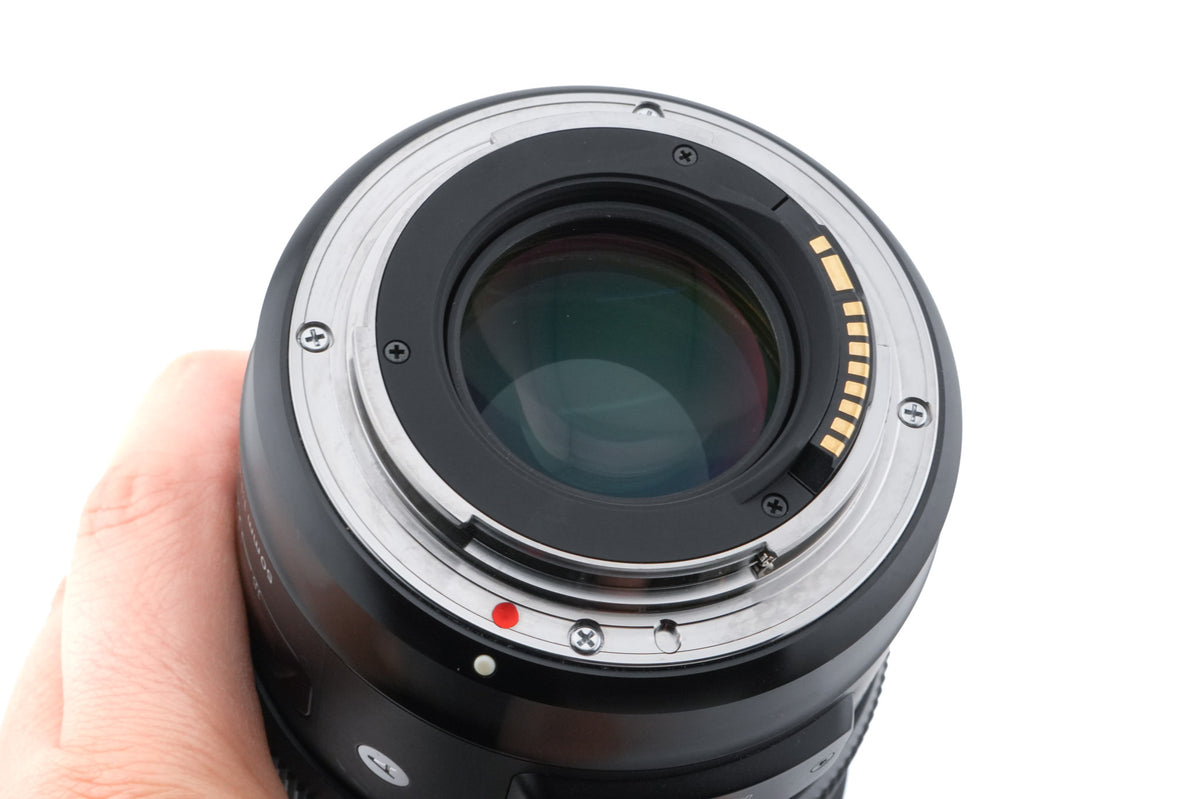 Sigma 50mm f1.4 DG HSM Art (014)