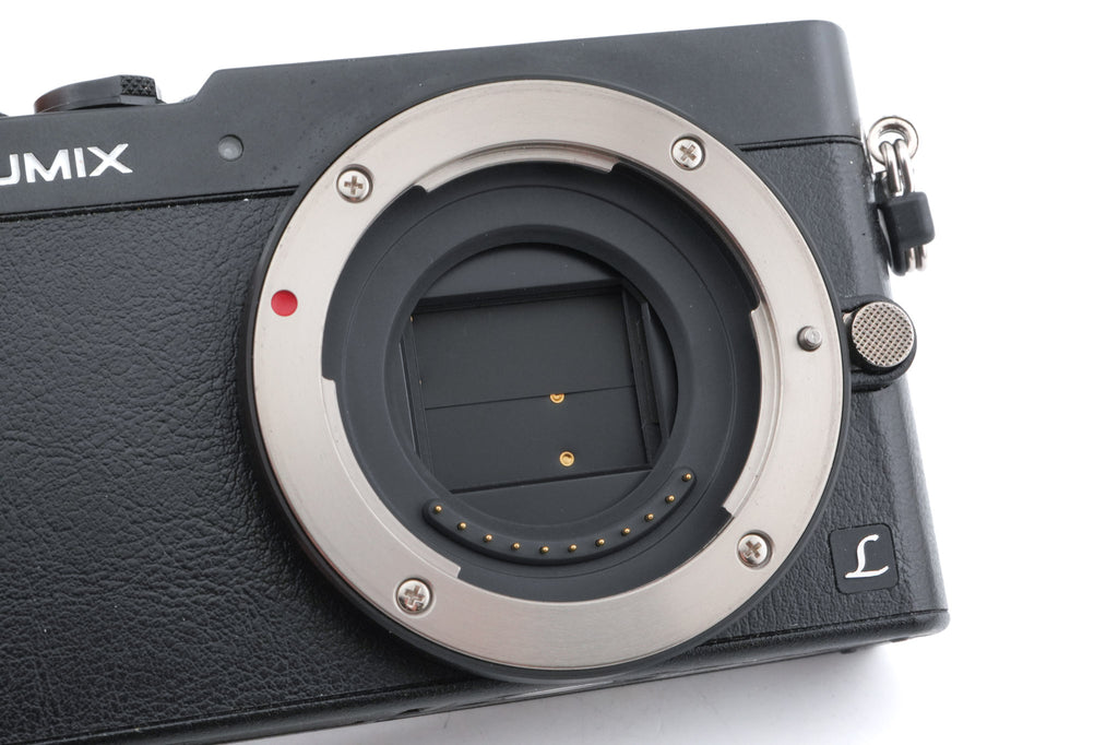 Panasonic Lumix DMC-GM5