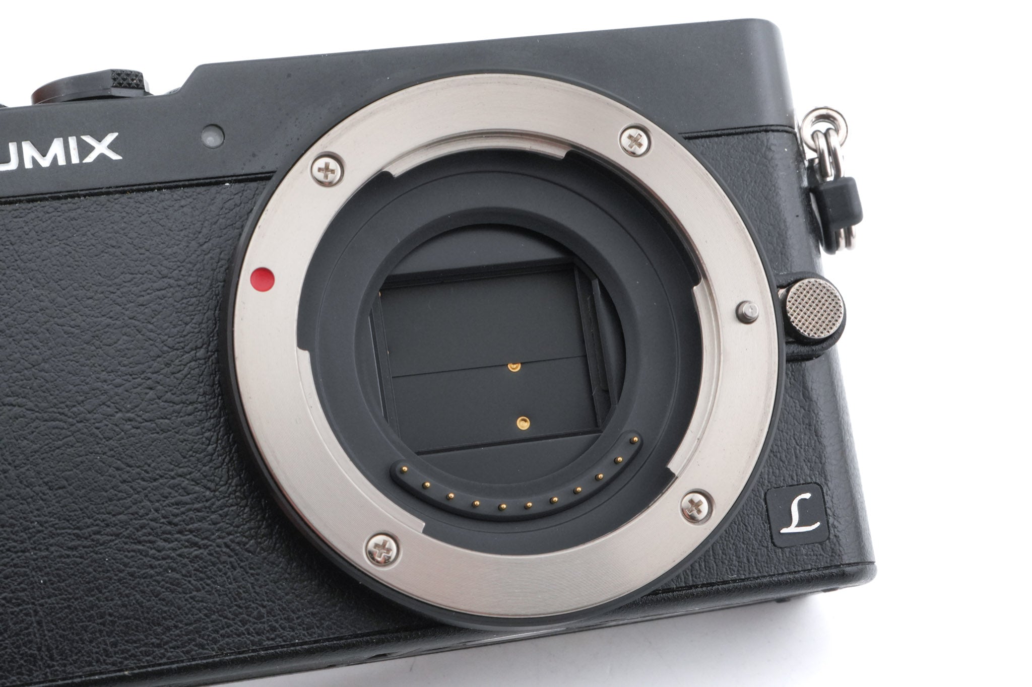 Panasonic Lumix DMC-GM5