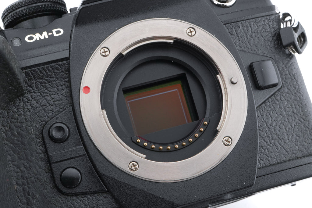 Olympus OM-D E-M1 Mark II