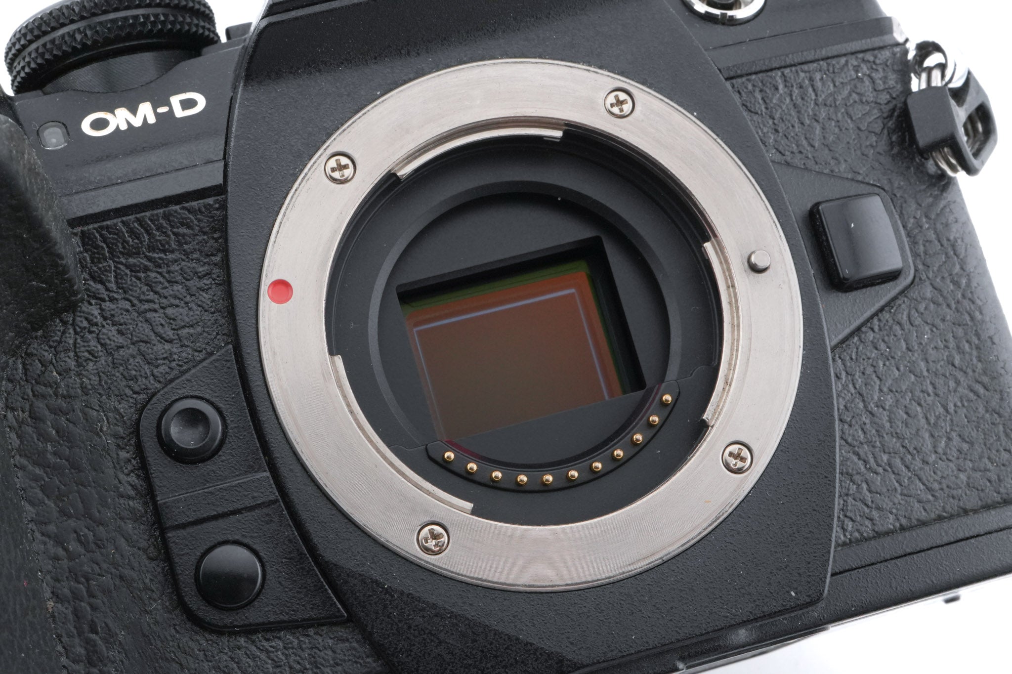 Olympus OM-D E-M1 Mark II