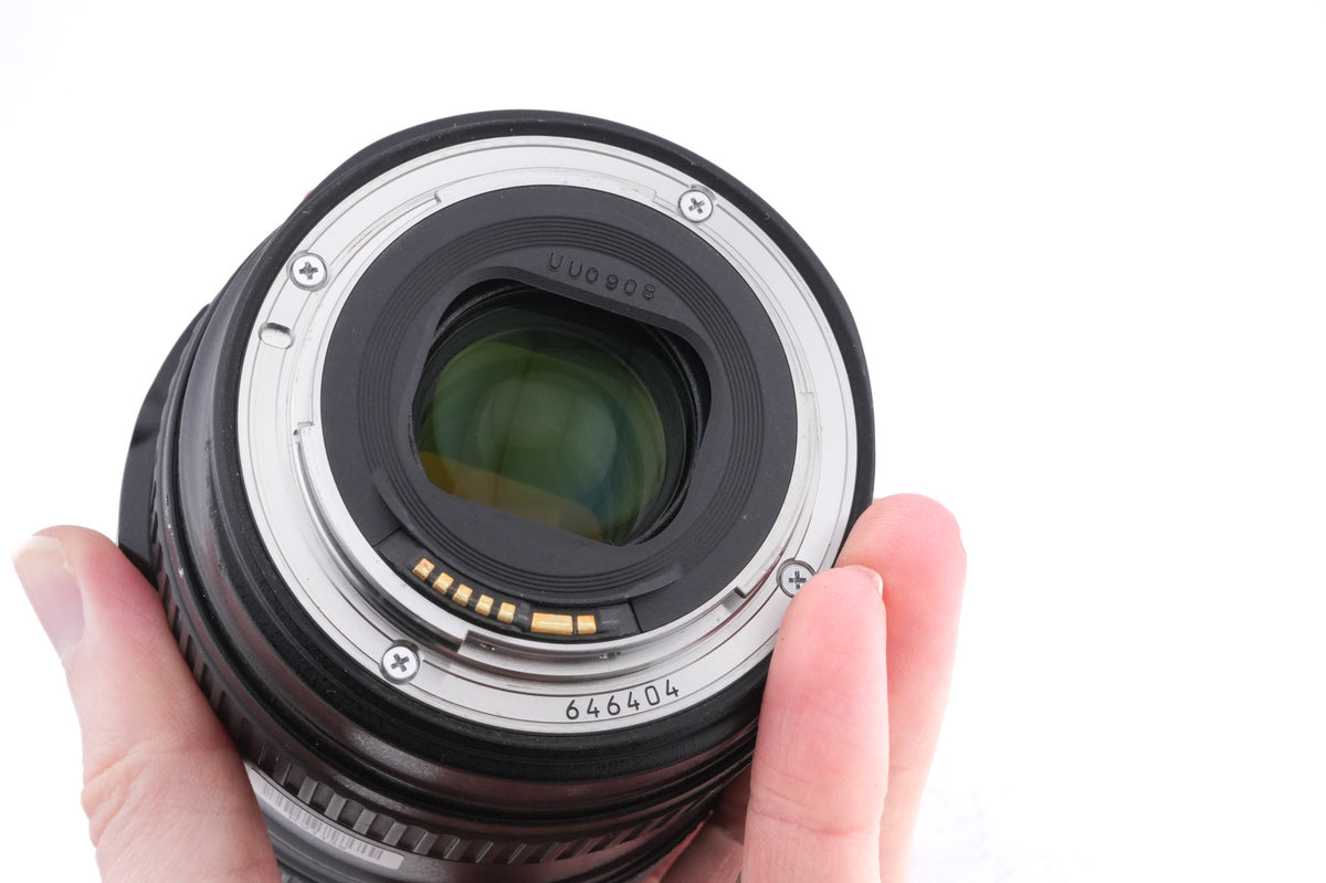 Canon 24-105mm f4 L IS USM