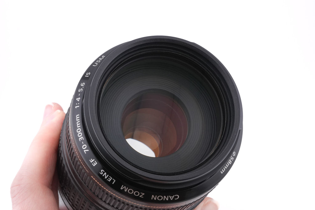 Canon 70-300mm f4-5.6 IS USM