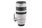 Canon 100-400mm f4.5-5.6 L IS USM