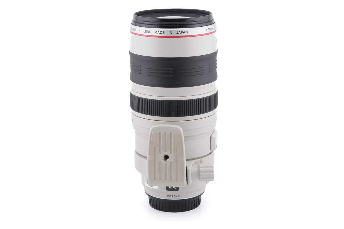 Canon 100-400mm f4.5-5.6 L IS USM
