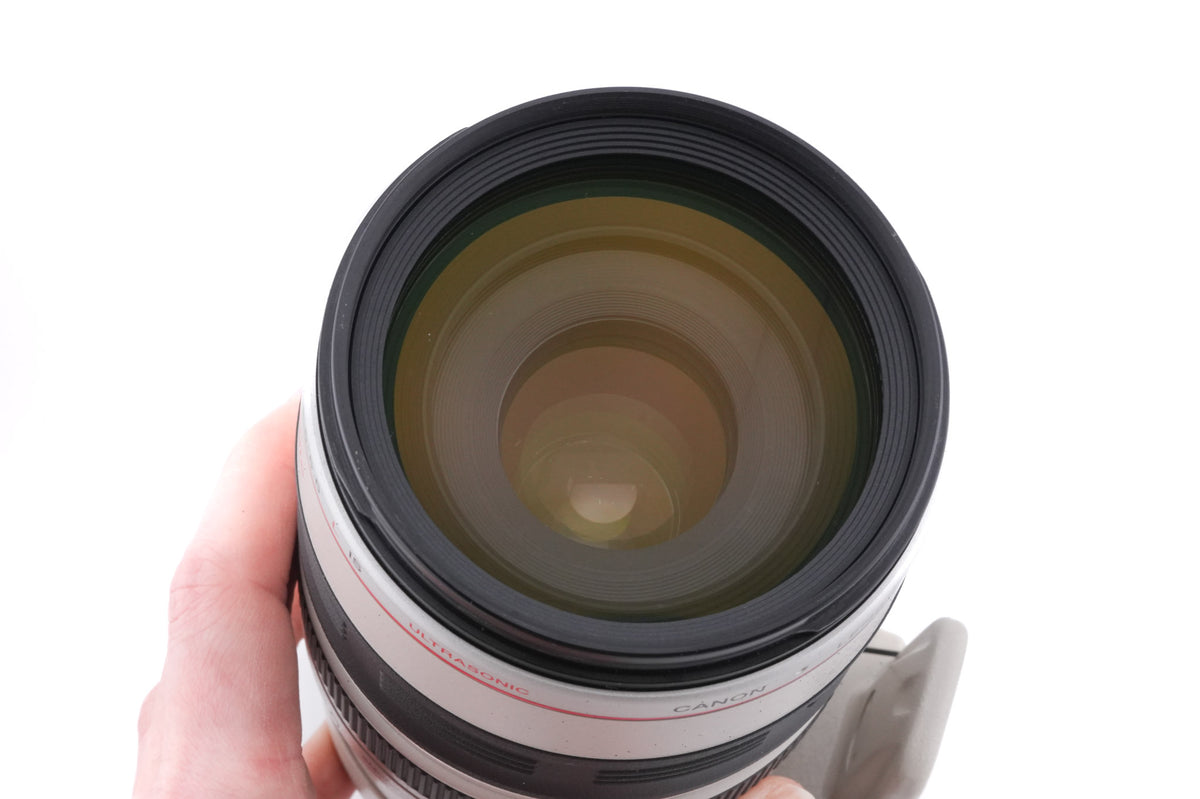 Canon 100-400mm f4.5-5.6 L IS USM