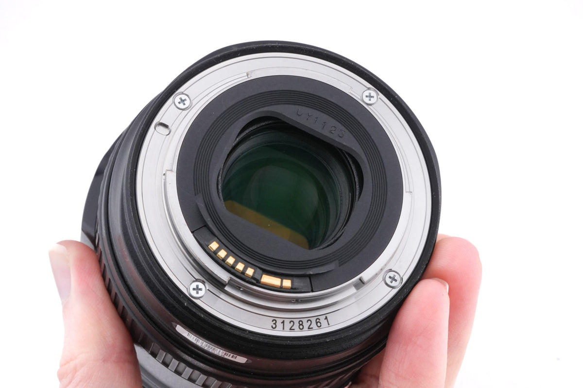 Canon 24-105mm f4 L IS USM