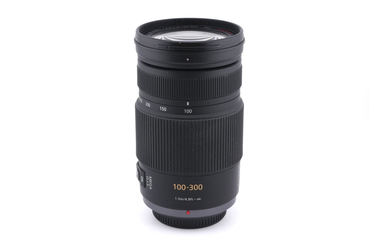 Panasonic 100-300mm f4-5.6 Lumix G Vario Mega O.I.S. (H-FS100300)