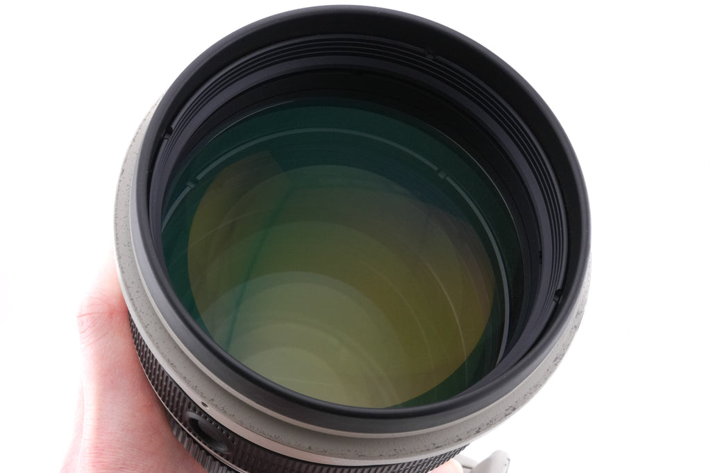 Canon 300mm f2.8 L IS USM