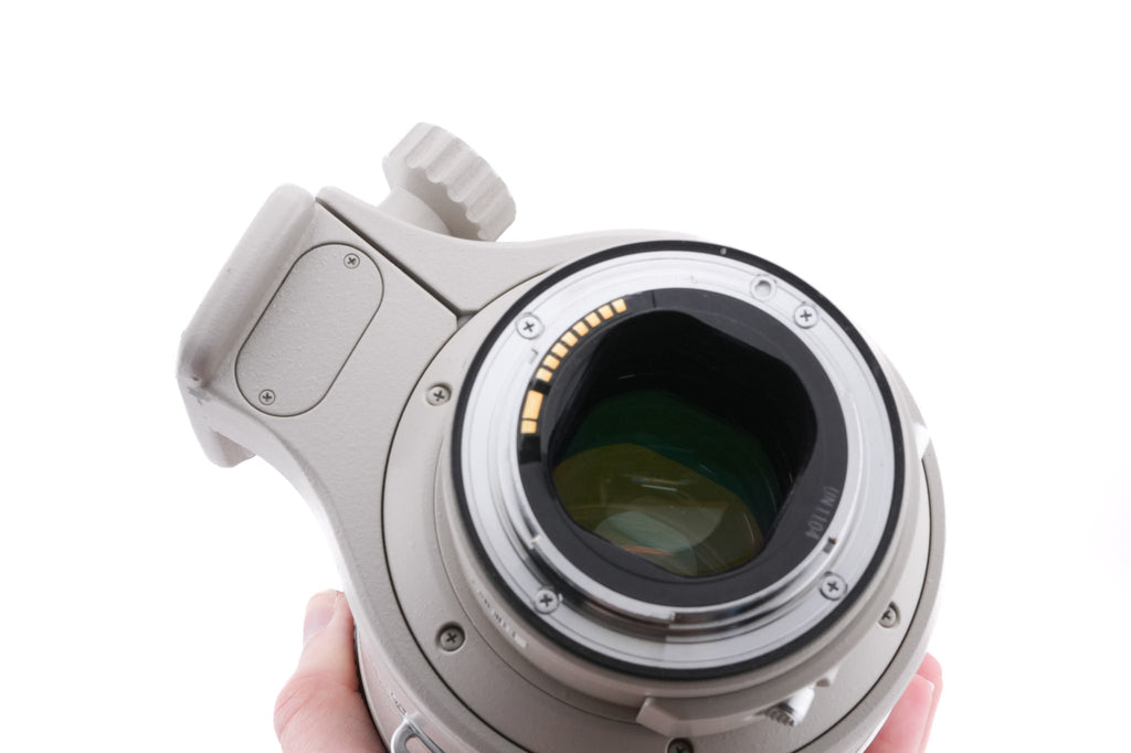 Canon 300mm f2.8 L IS USM