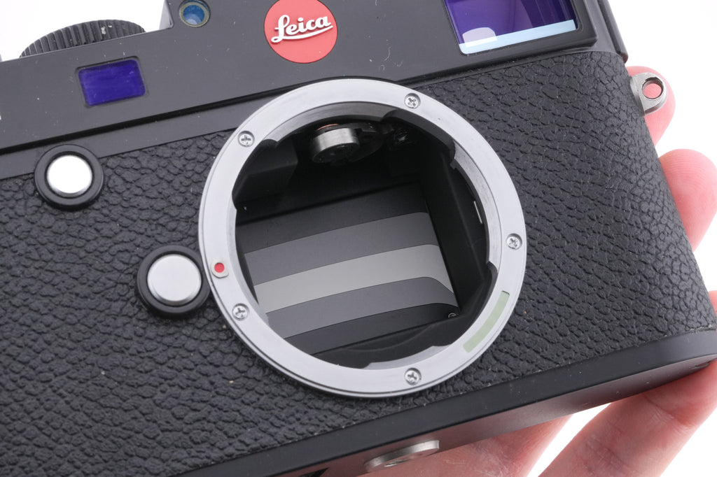 Leica M (Typ 240) (Black Paint, 10770)