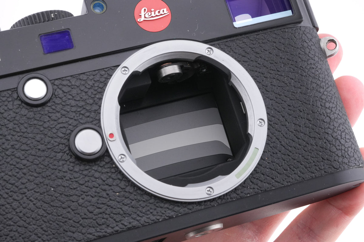 Leica M (Typ 240) (Black Paint, 10770)