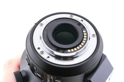 Panasonic 100-400mm F4-6.3 DG Vario-Elmar ASPH.