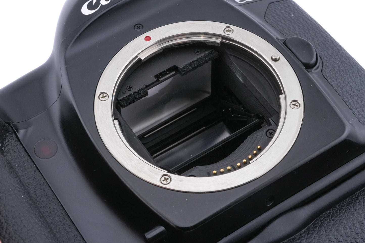 Canon EOS-1N + BP-E1 Battery Pack