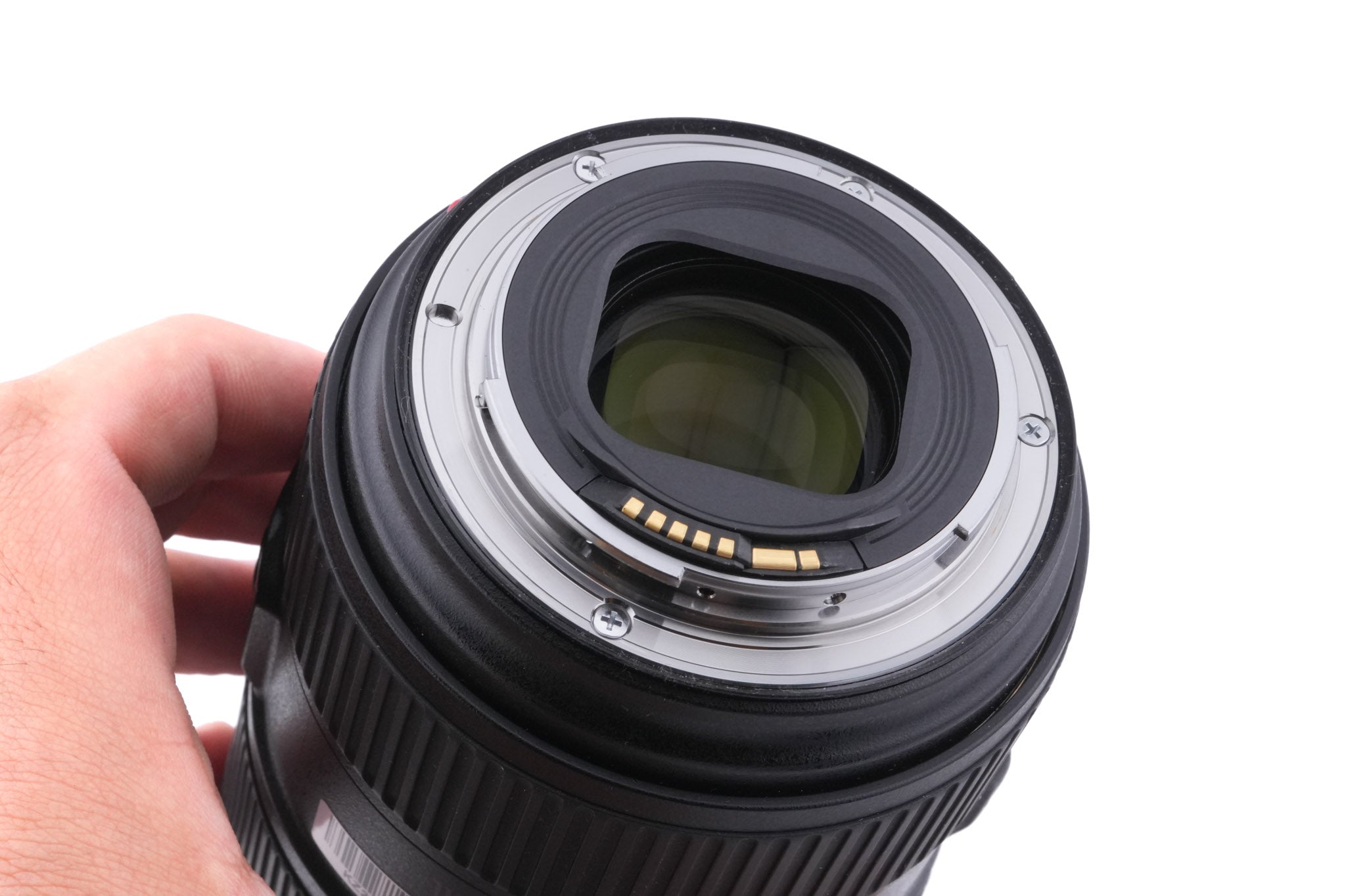 Canon 24-105mm f4 L IS II USM