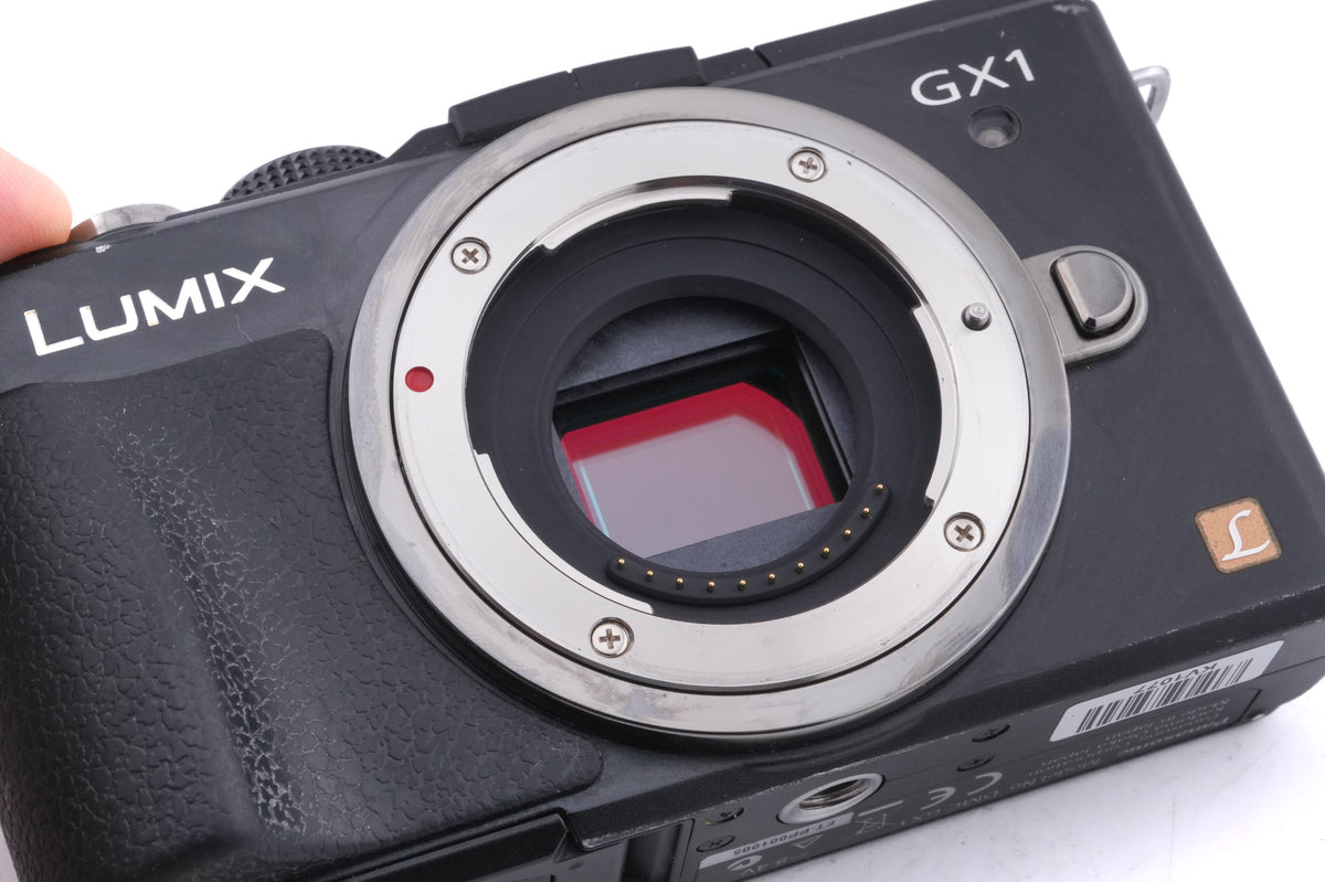 Panasonic Lumix DMC-GX1