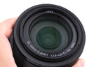 Panasonic Lumix DMC-FZ1000
