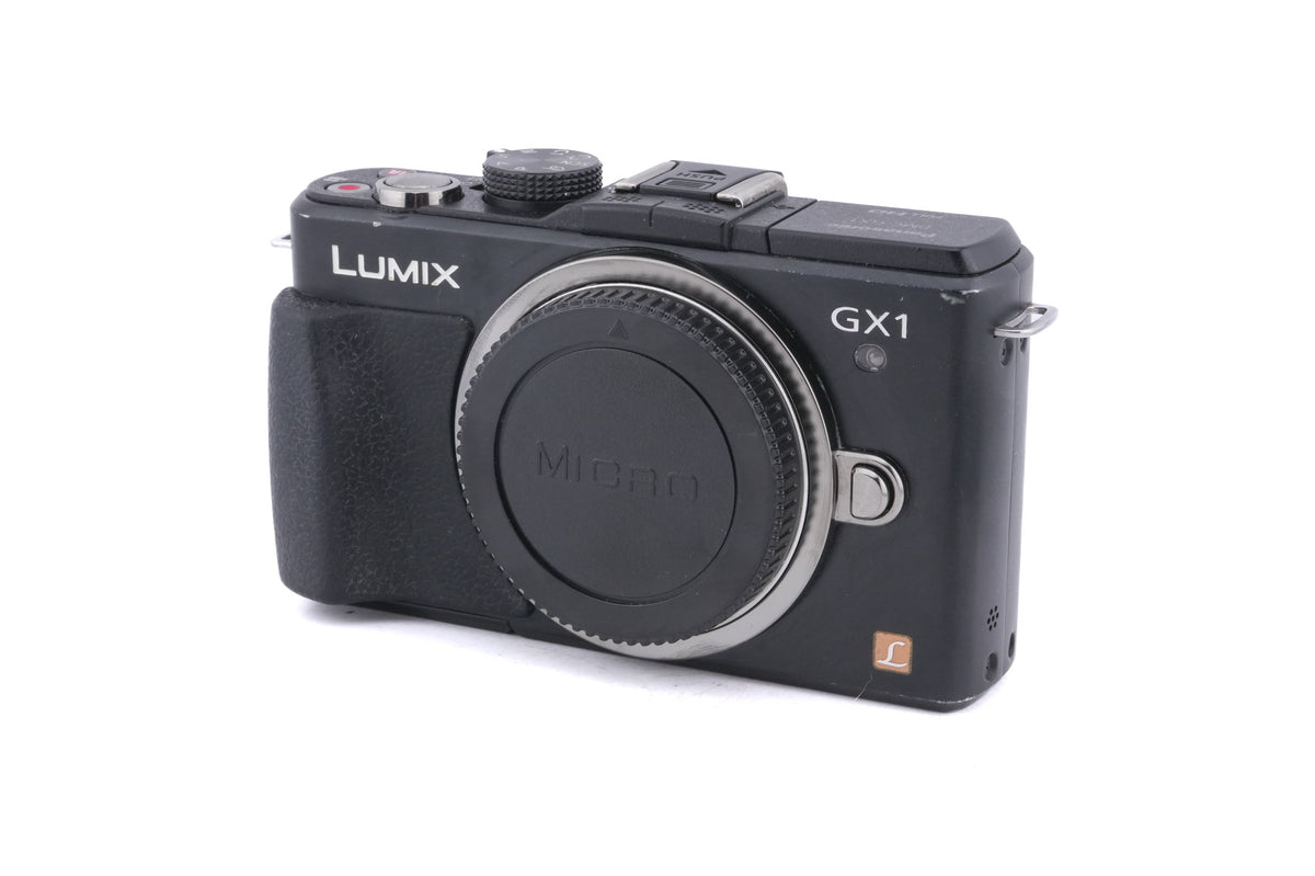 Panasonic Lumix DMC-GX1 - Camera