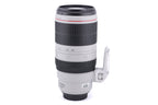 Canon 100-400mm f4.5-5.6 L IS II USM