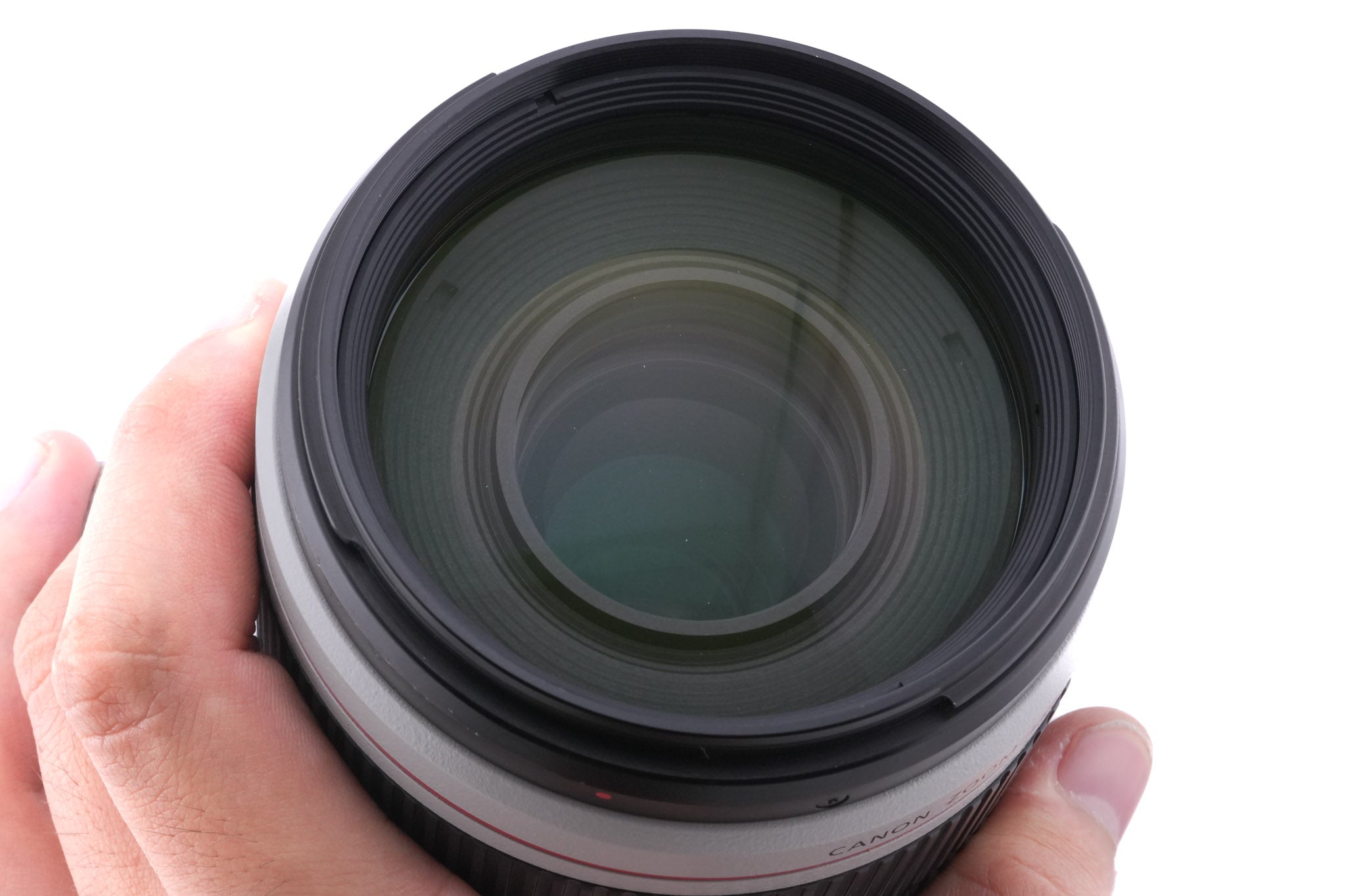 Canon 100-400mm f4.5-5.6 L IS II USM