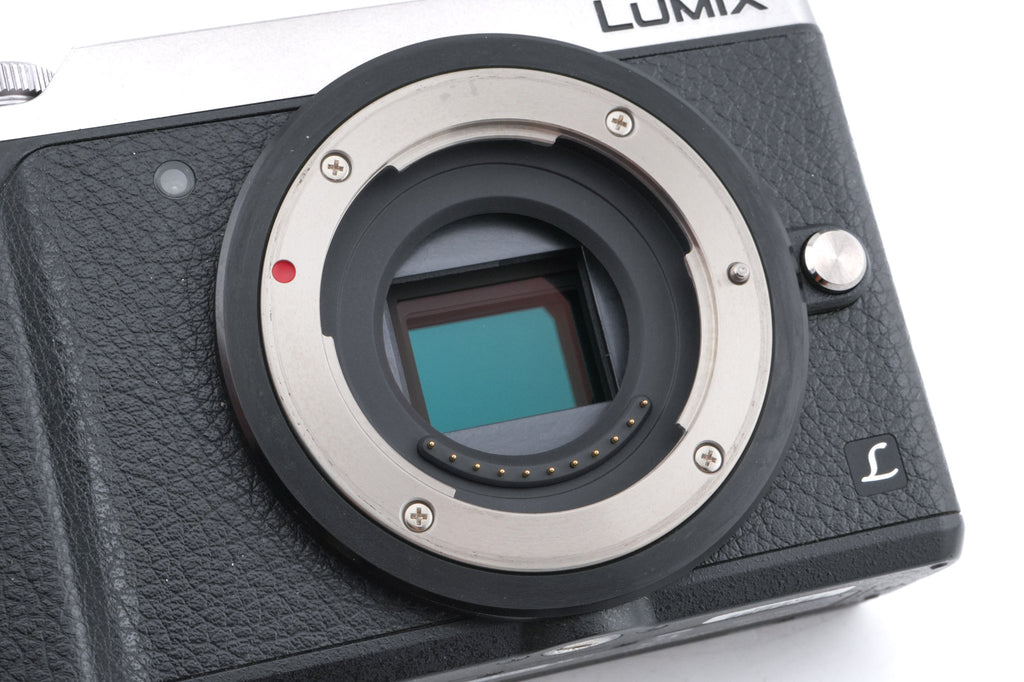 Panasonic Lumix DMC-GX80