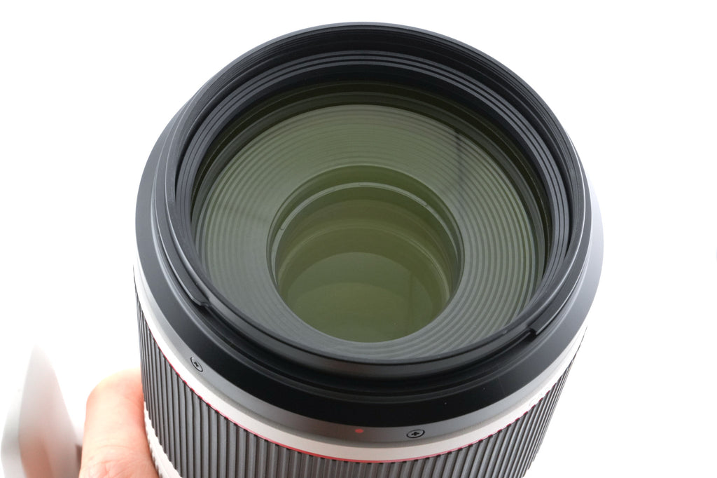 Canon 100-500mm f4.5-7.1 L IS USM