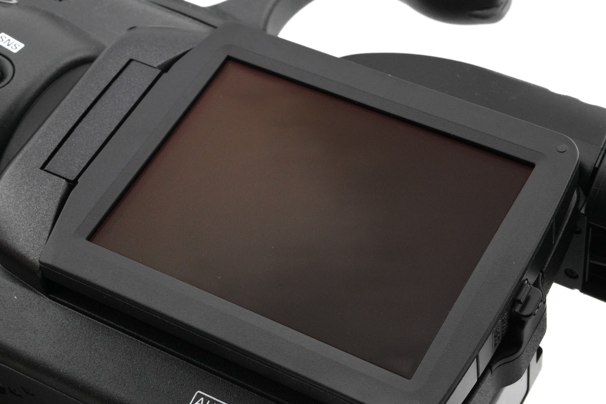 Panasonic AG-DVC30