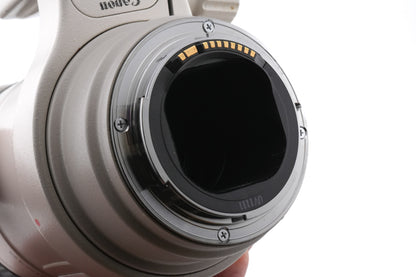 Canon 300mm f4 L IS USM