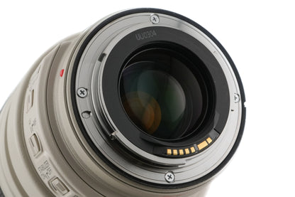 Canon 28-300mm f3.5-5.6 L IS USM