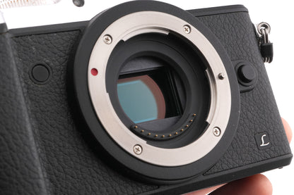 Panasonic Lumix DMC-GX8