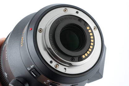 Panasonic 100-400mm f4-6.3 Leica Vario-Elmar DG ASPH. (H-RS100400)