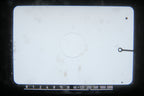 Leica Leicaflex SL (Silver, 10011)