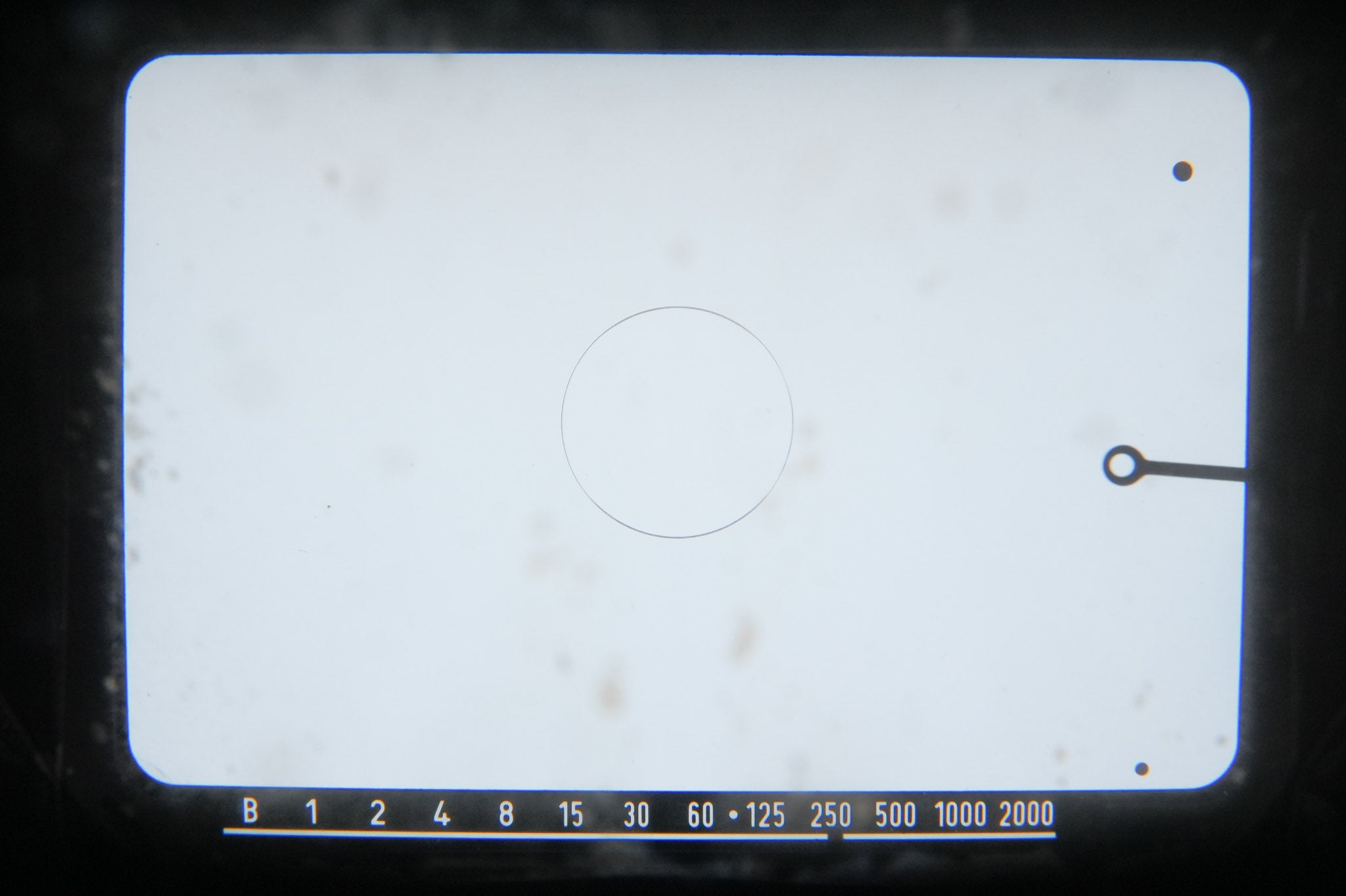 Leica Leicaflex SL (Silver, 10011)