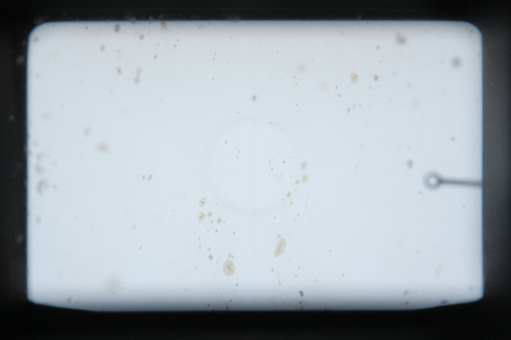 Leica Leicaflex SL (Silver, 10011)