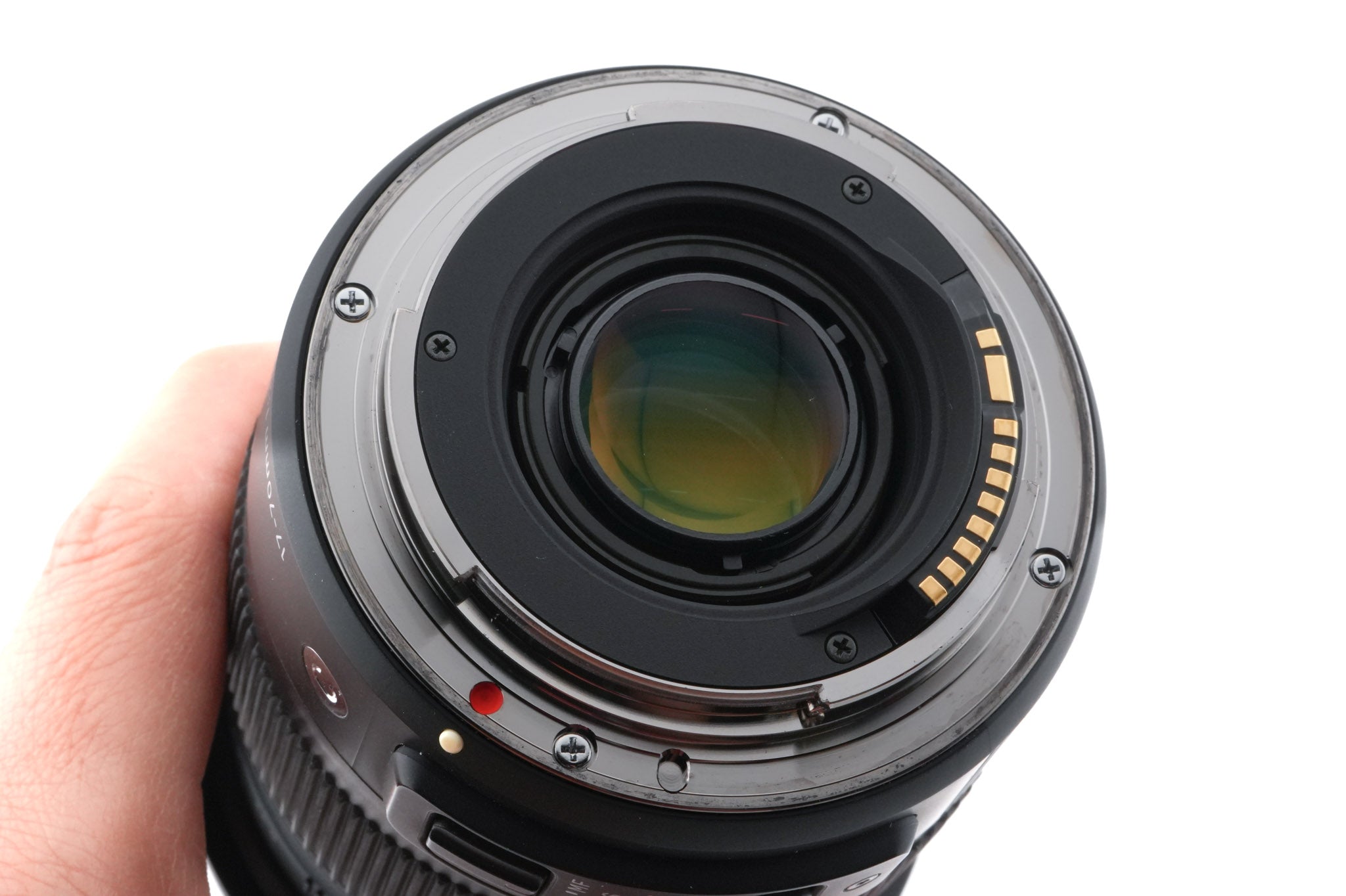 Sigma 17-70mm f2.8-4 DC Macro OS HSM Contemporary (013)