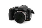 Panasonic Lumix DMC-FZ100