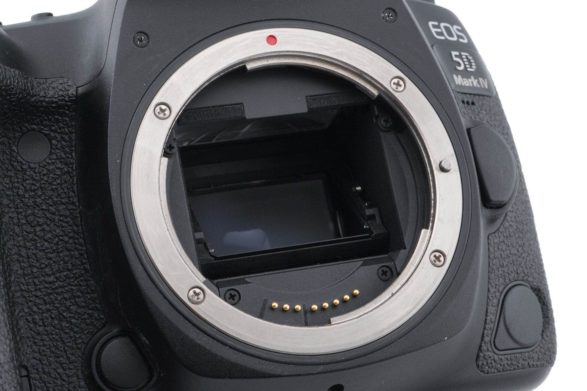 Canon EOS 5D Mark IV