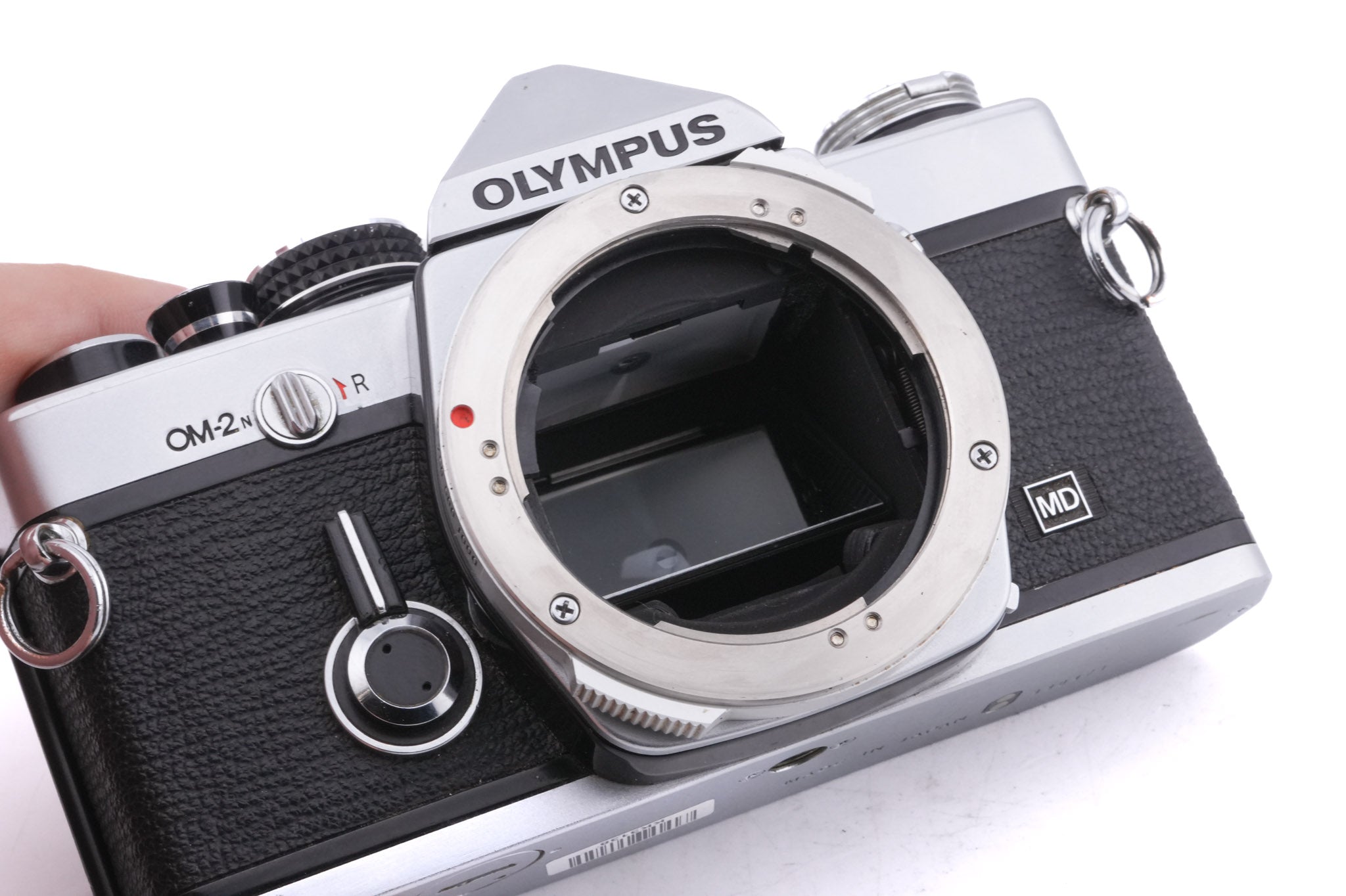 Olympus OM-2N + Recordata Back 4