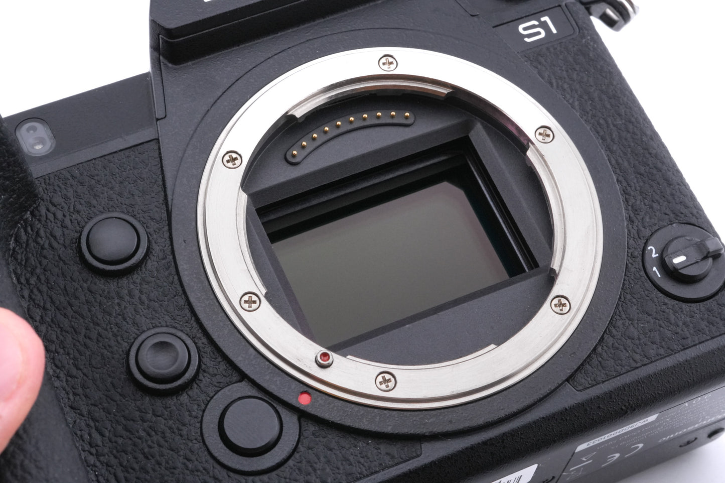 Panasonic Lumix DC-S1