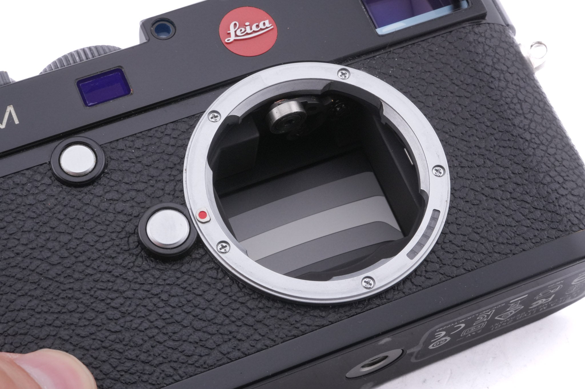 Leica M (Typ 240) (Black Paint, 10770)