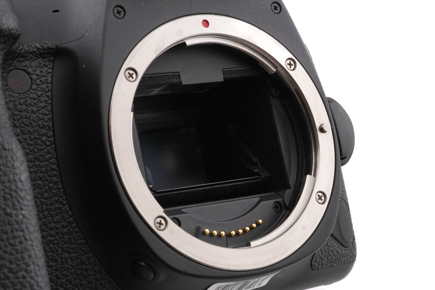 Canon EOS 6D Mark II