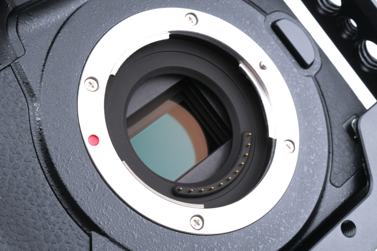 Panasonic Lumix DC-GH5 + Panasonic Lumix DC-GH5 Cage (2049)