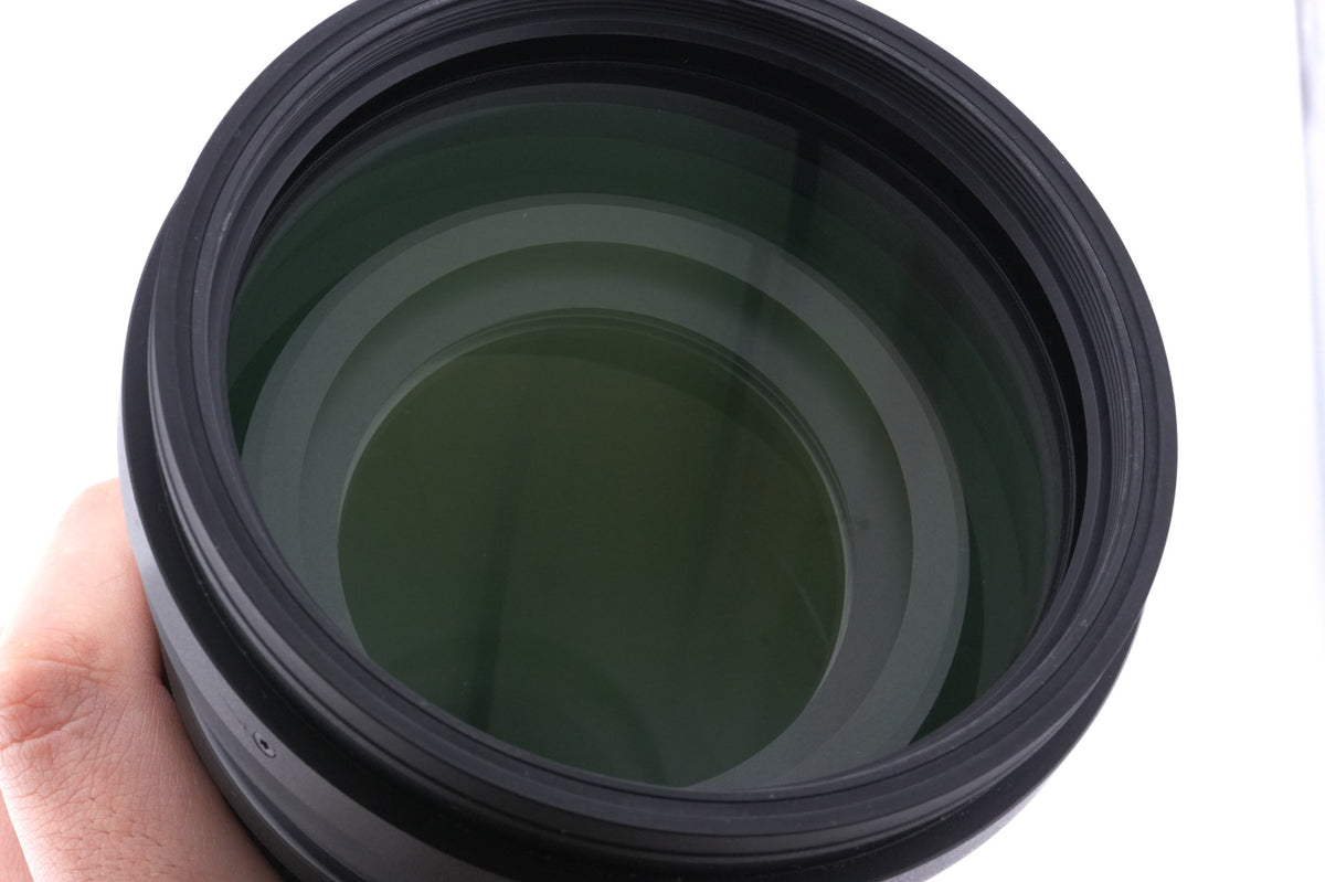 Sigma 150-600mm f5-6.3 DG DN OS Sports (021)