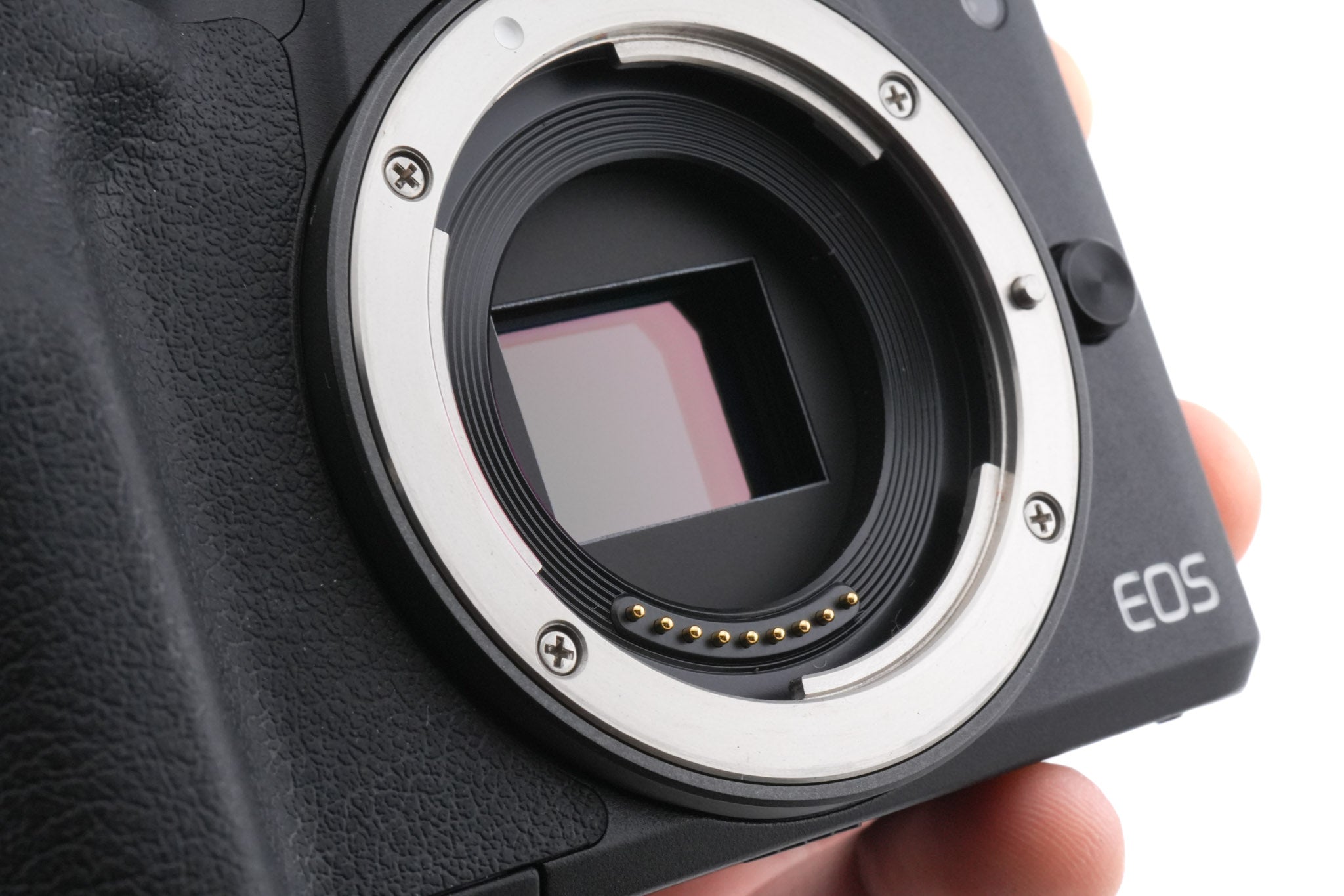 Canon EOS M50
