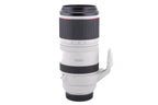 Canon 100-500mm f4.5-7.1 L IS USM