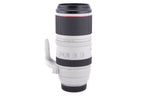Canon 100-500mm f4.5-7.1 L IS USM