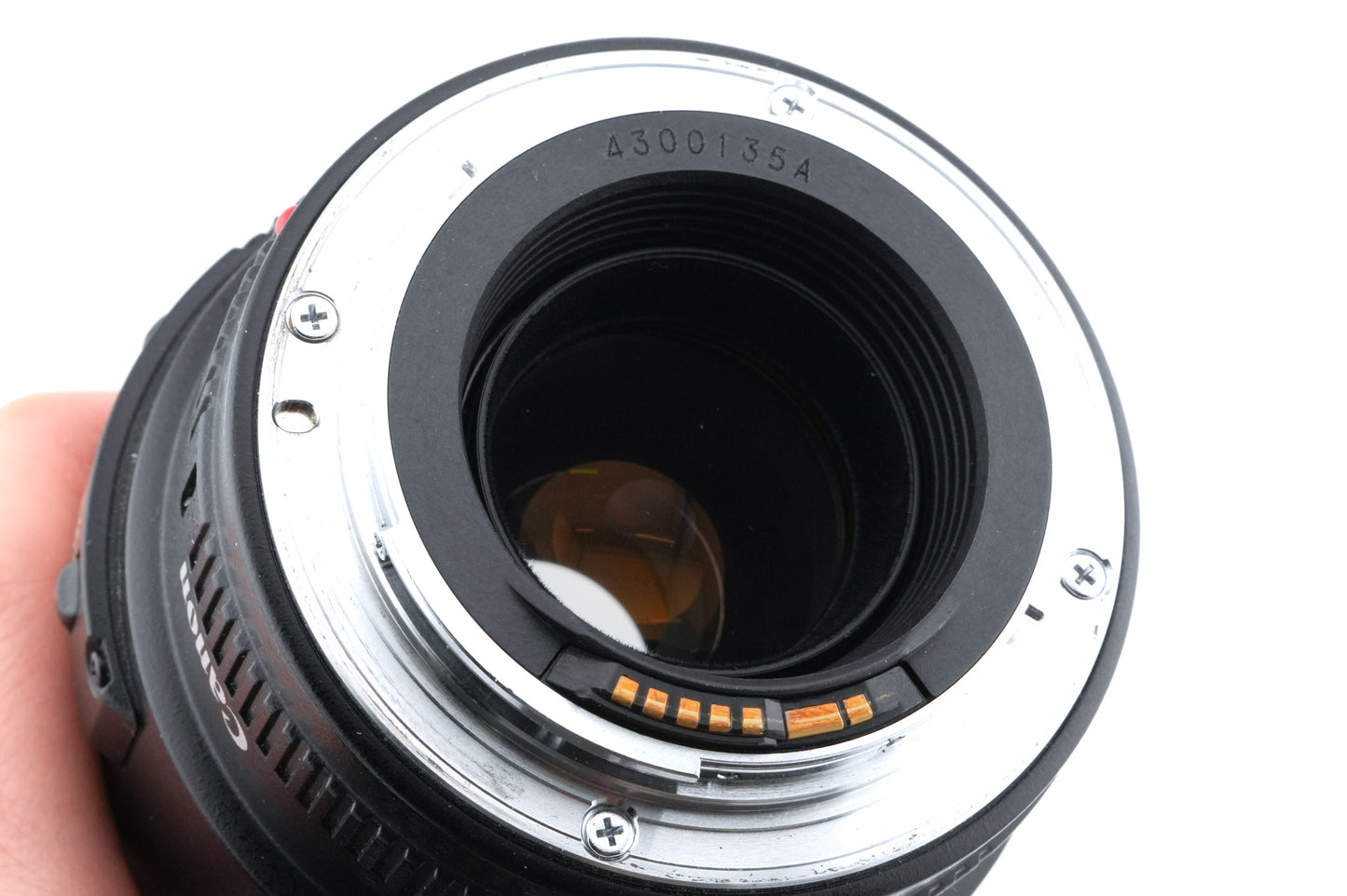 Canon 100mm f2.8 Macro USM