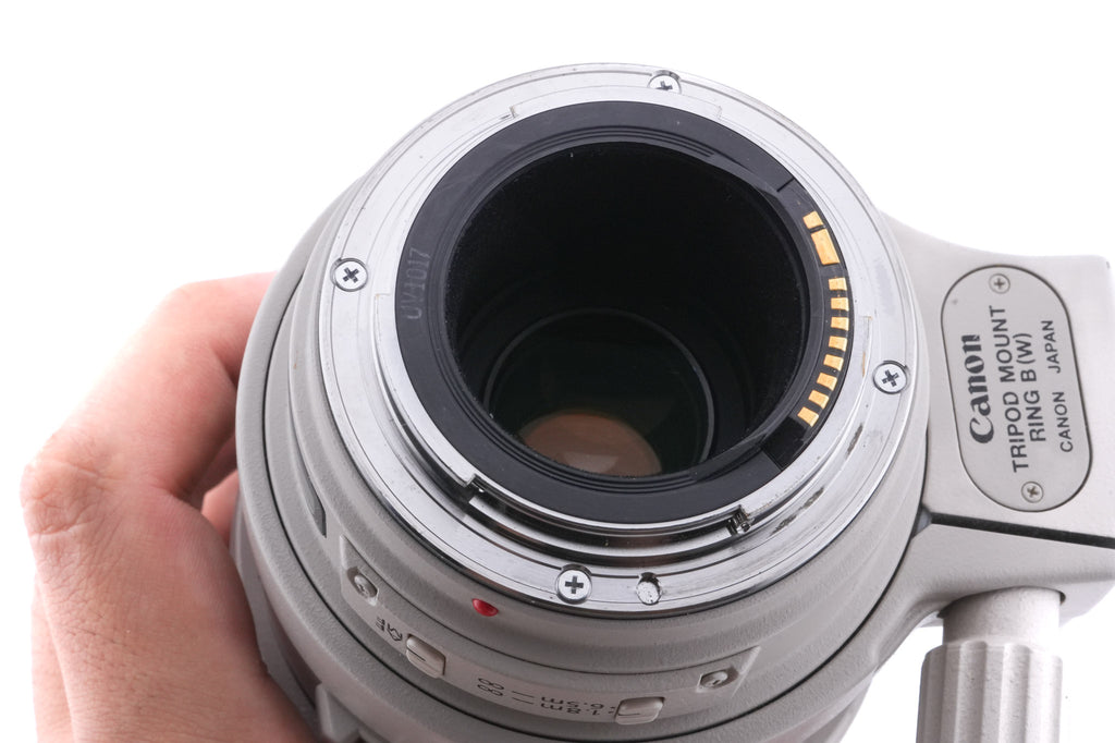 Canon 100-400mm f4.5-5.6 L IS USM + ET-83C Lens Hood