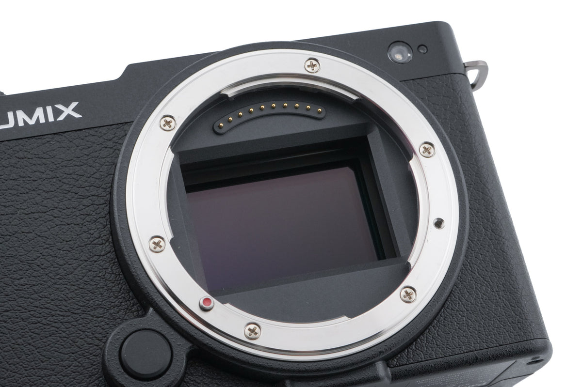 Panasonic Lumix DC-S9